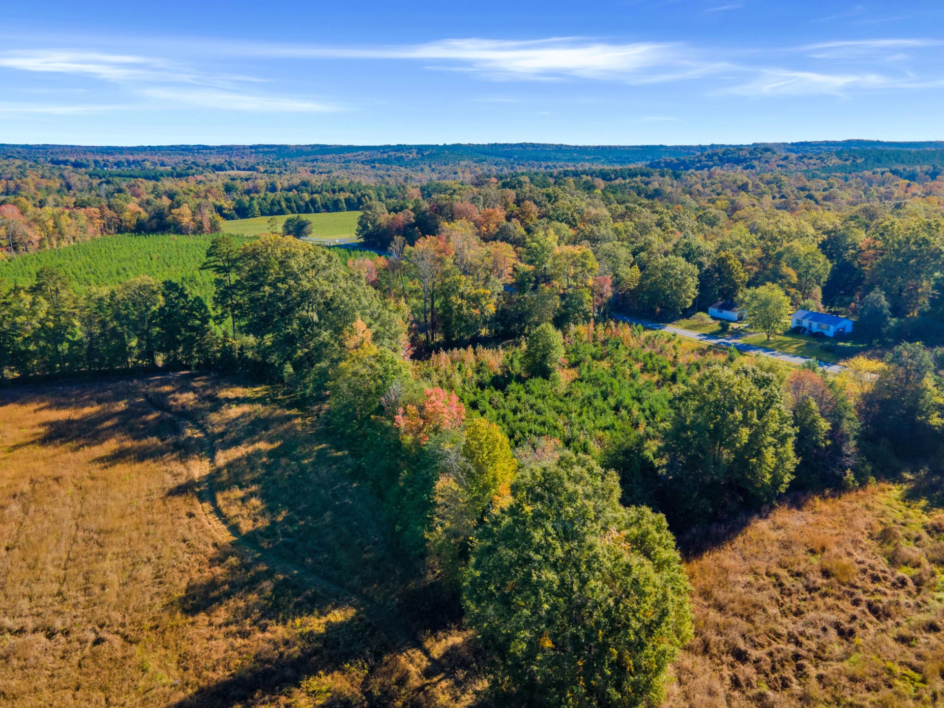 677 White Fall RD - Photo 13