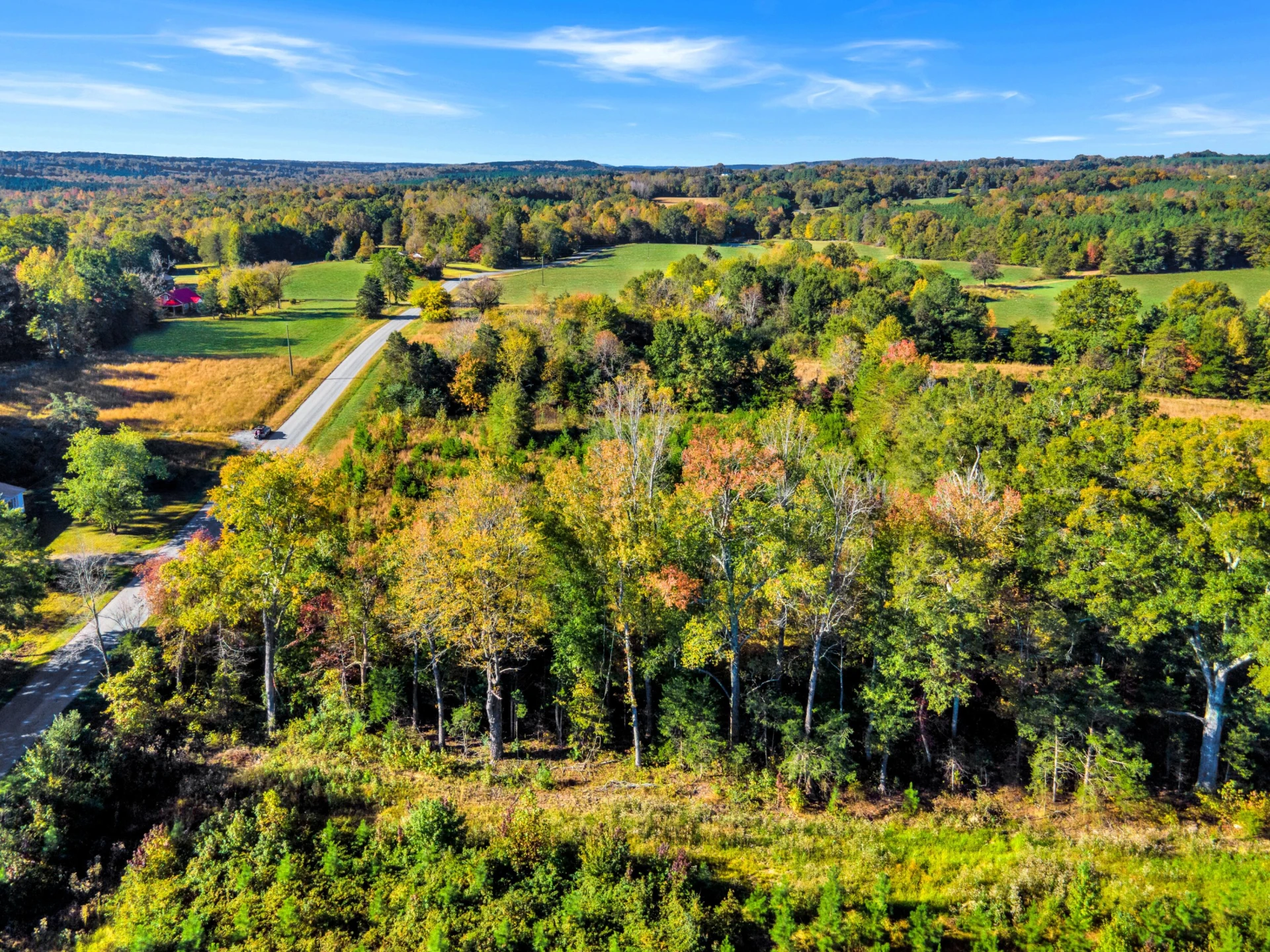 677 White Fall RD - Photo 18