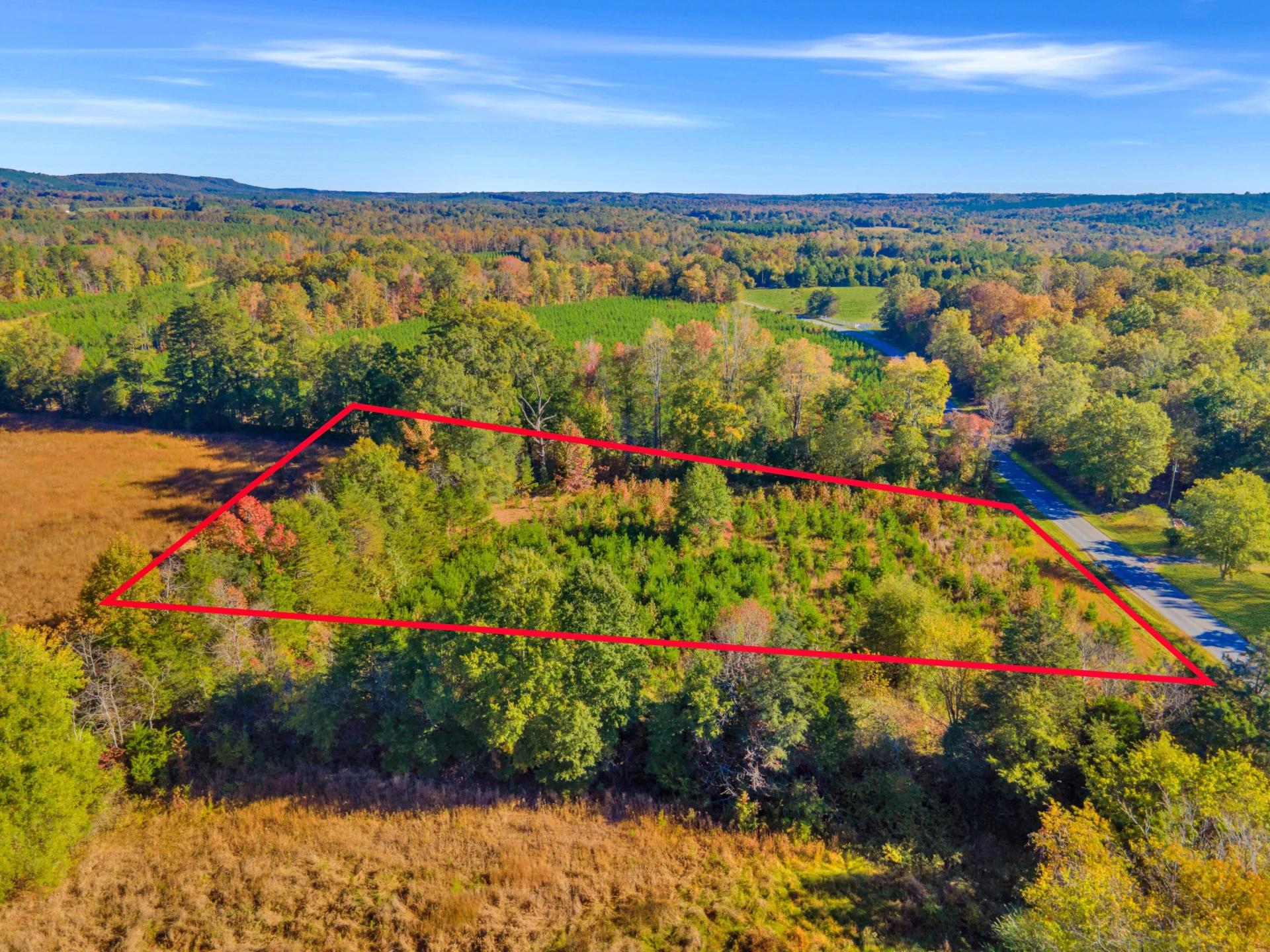 677 White Fall RD - Photo 2
