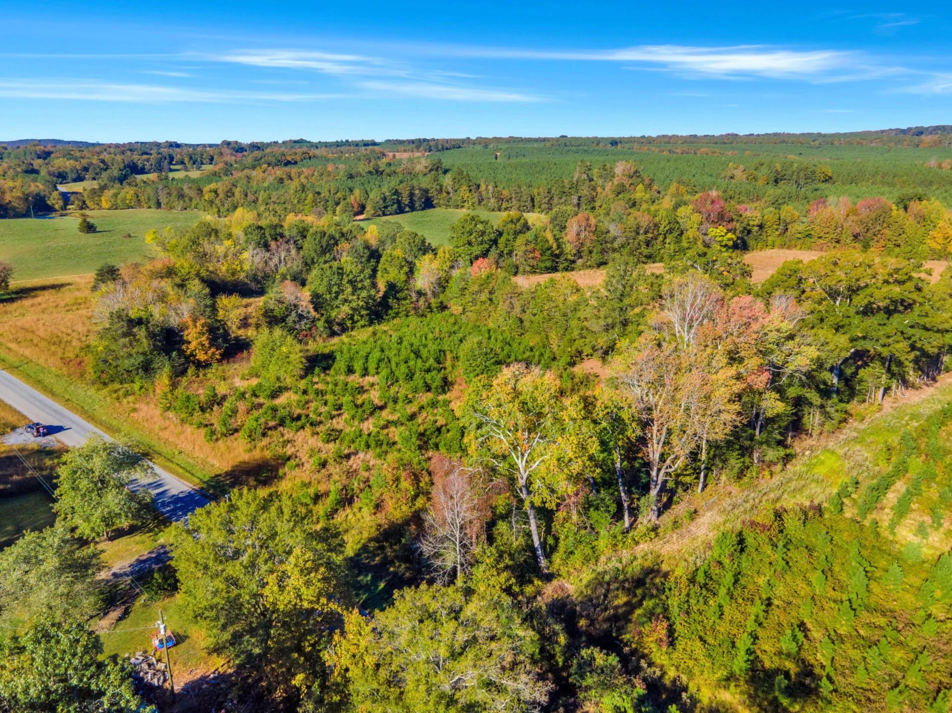 677 White Fall RD - Photo 20