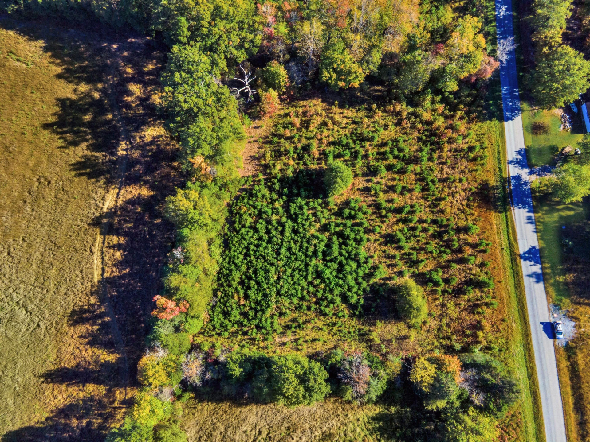 677 White Fall RD - Photo 6
