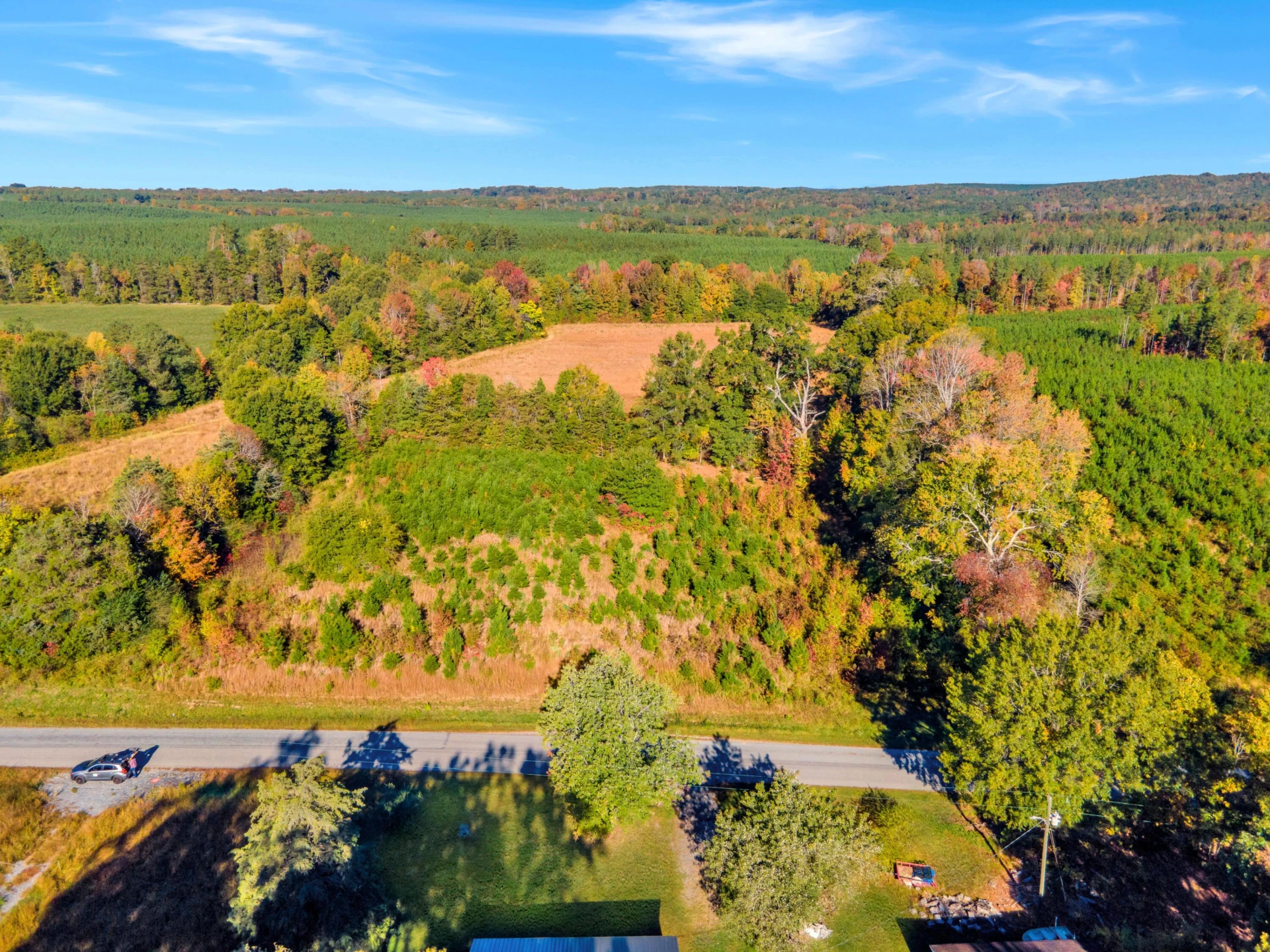 677 White Fall RD - Photo 8