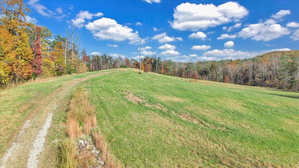 6742 Dawnwood & 0 Poage Valley RD - Photo 13