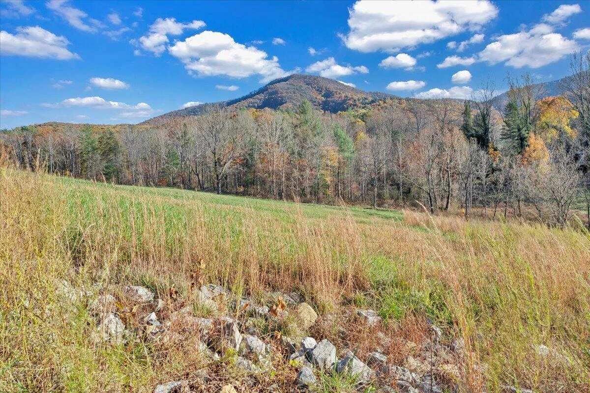6742 Dawnwood & 0 Poage Valley RD - Photo 92