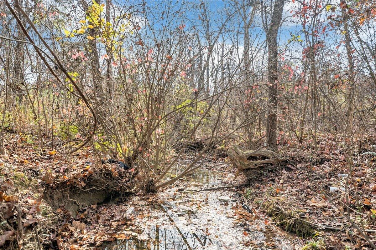 6714 Albert RD - Photo 65