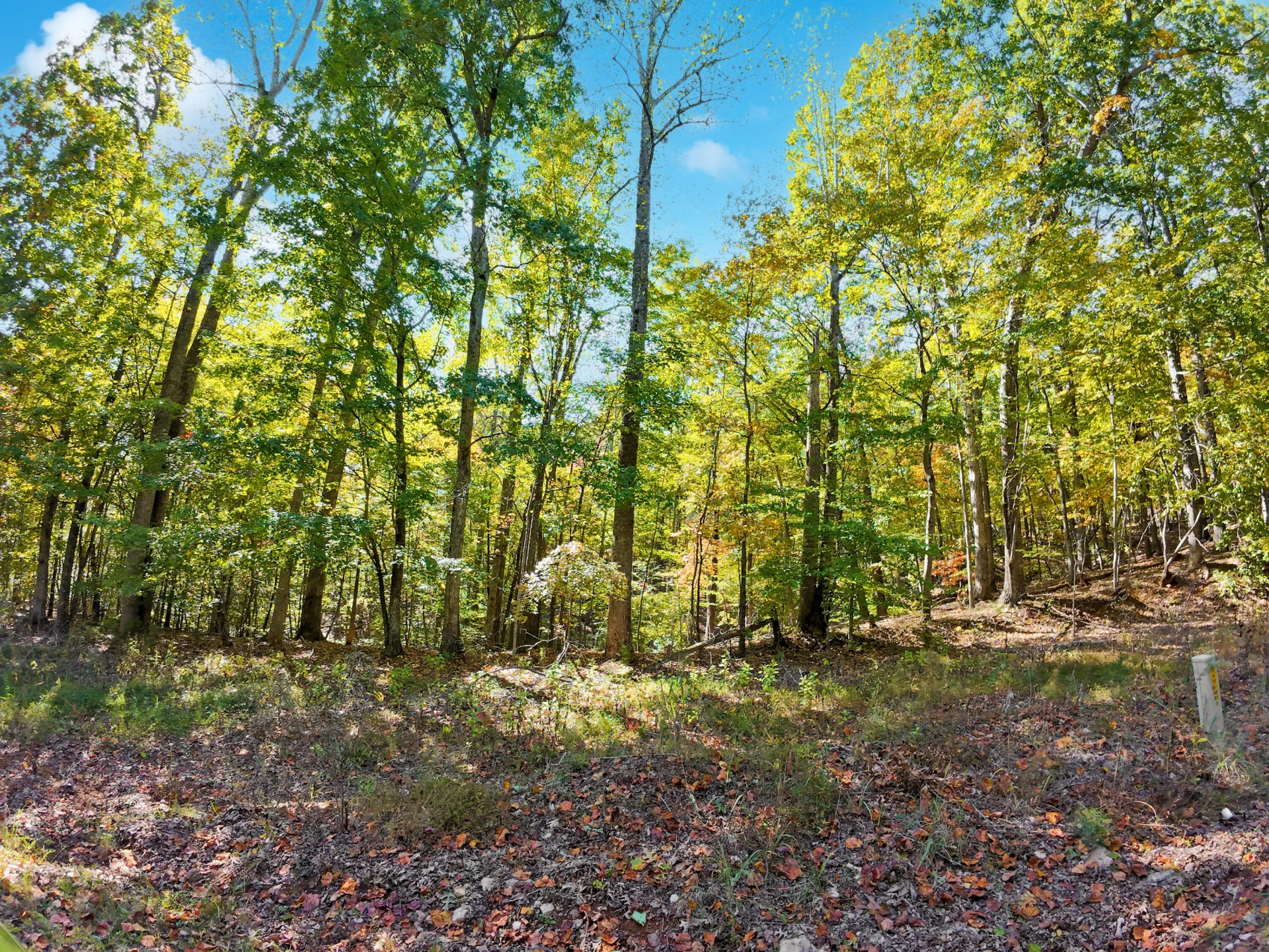 28 Leesville Lake DR - Photo 18