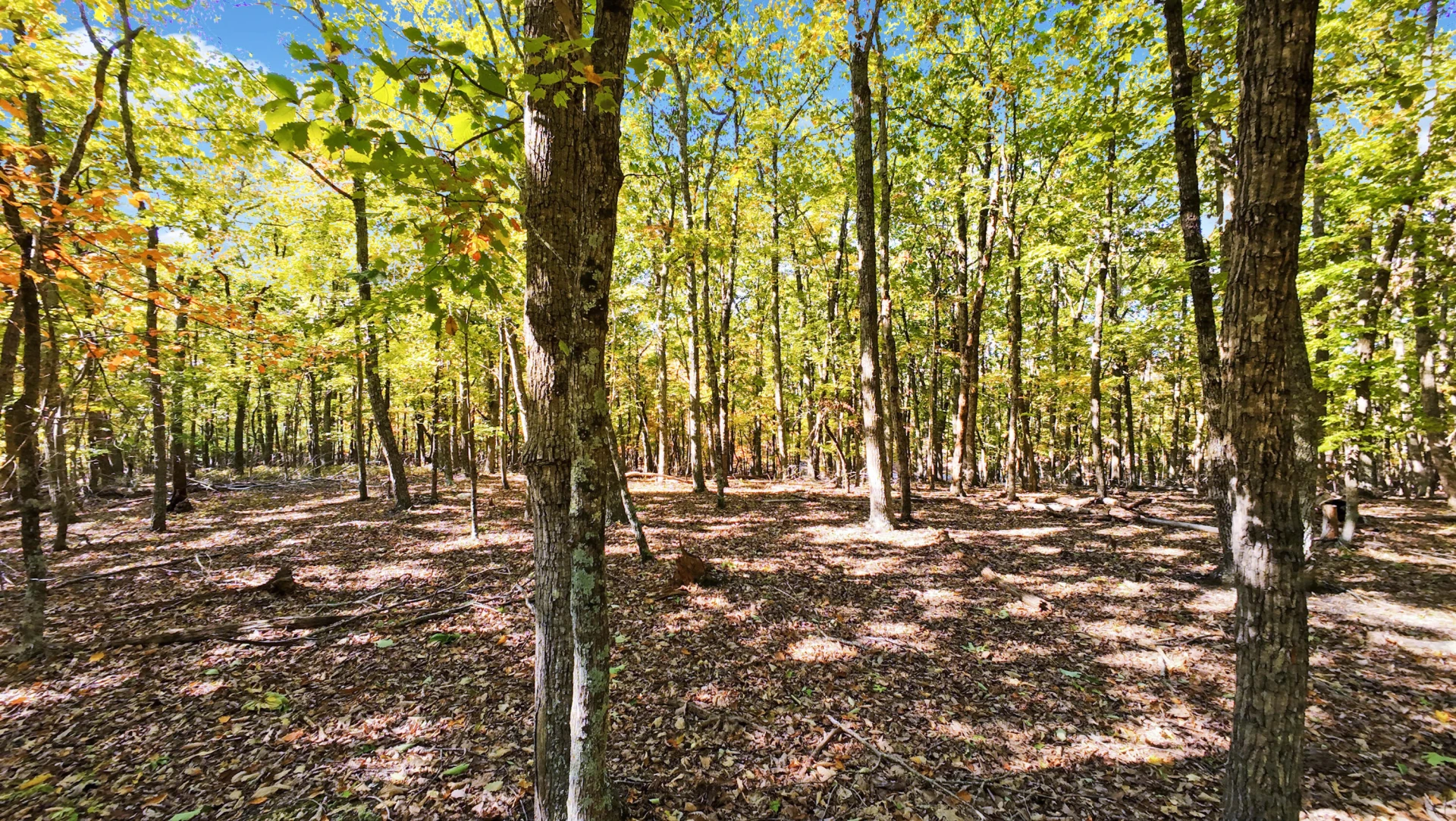 28 Leesville Lake DR - Photo 19