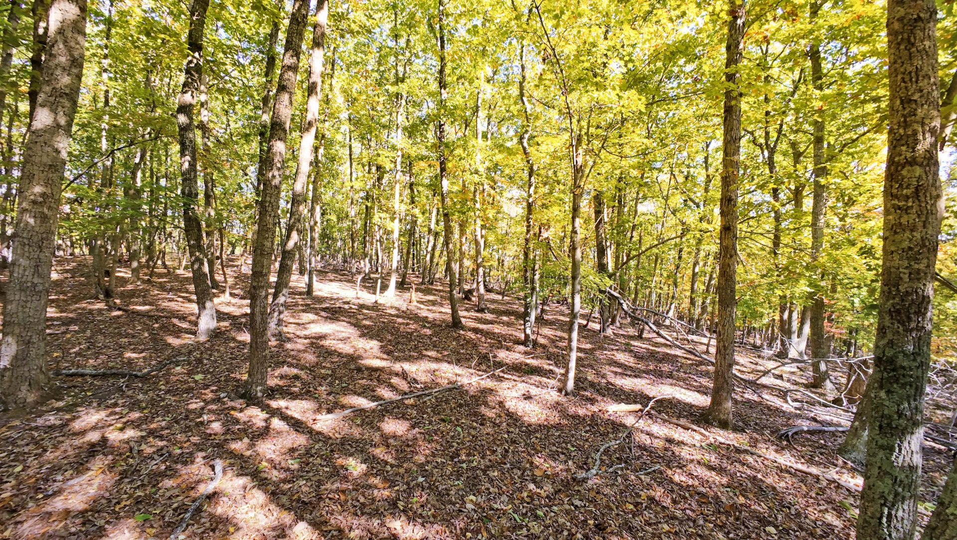28 Leesville Lake DR - Photo 20