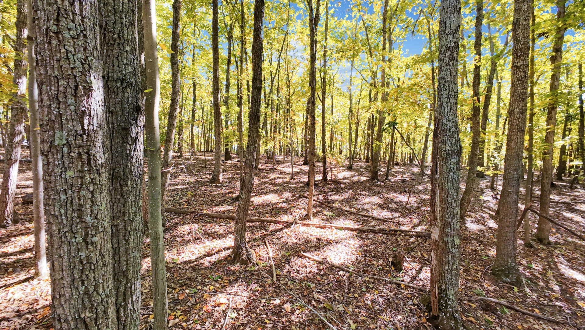28 Leesville Lake DR - Photo 22