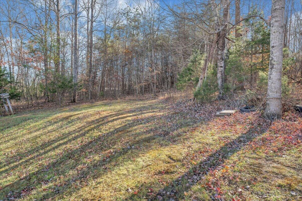 506 Wysong Mill RD - Photo 34