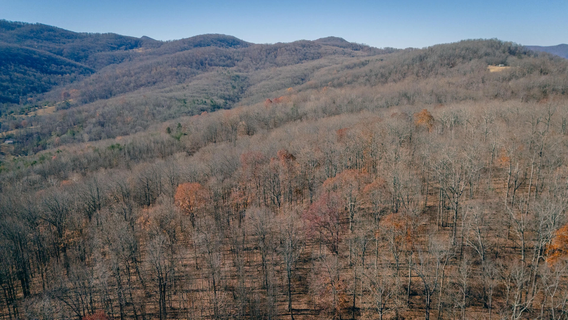 0 Bore Auger RD - Photo 12