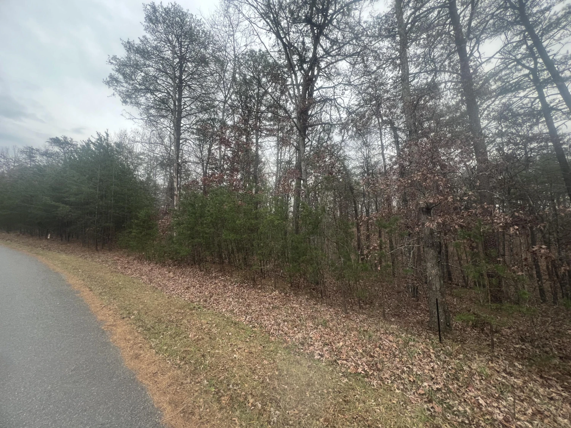 2851 Lindsay DR - Photo 3