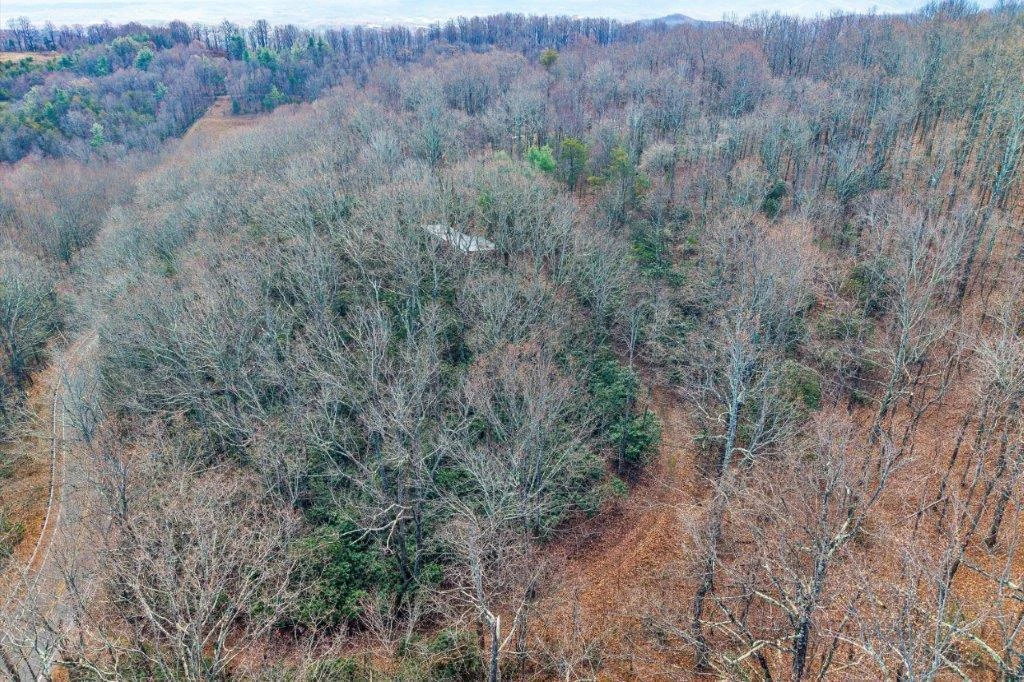 15885 Woolvine Hwy - Photo 10