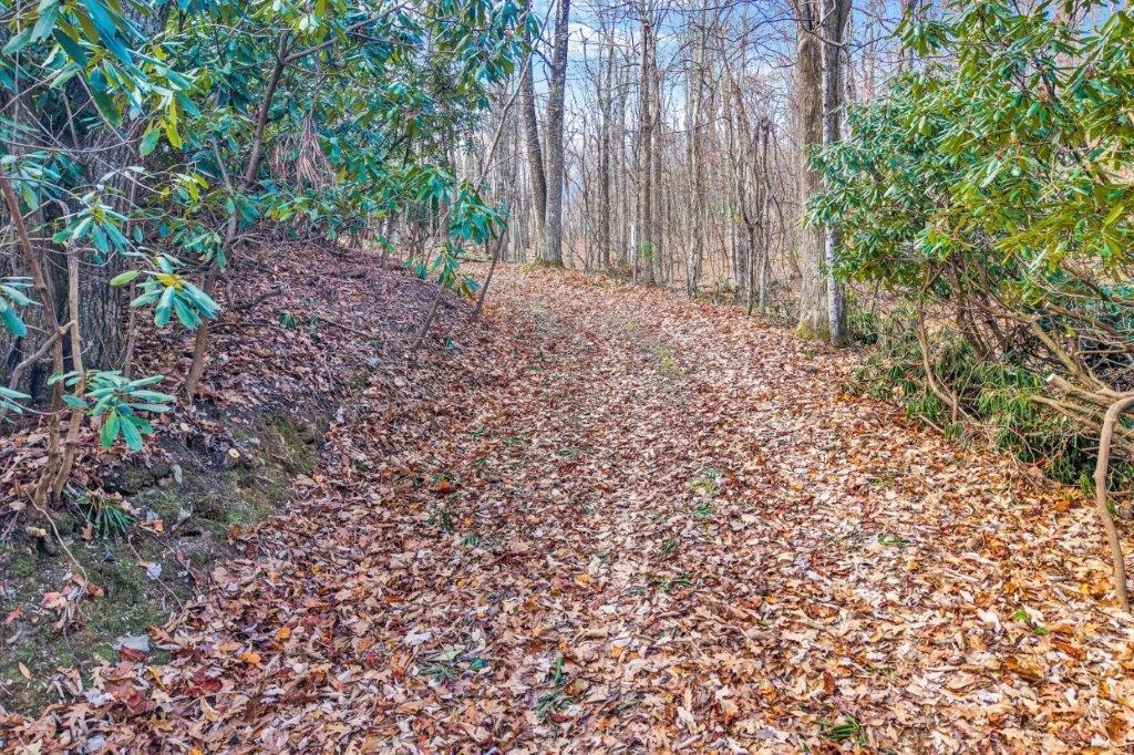 15885 Woolvine Hwy - Photo 19