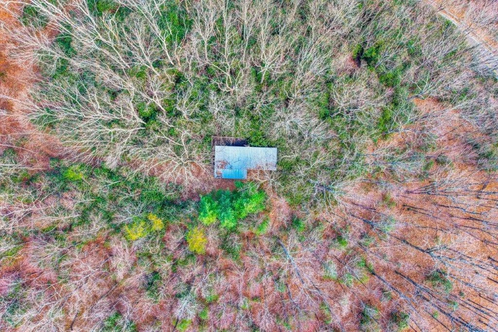 15885 Woolvine Hwy - Photo 2