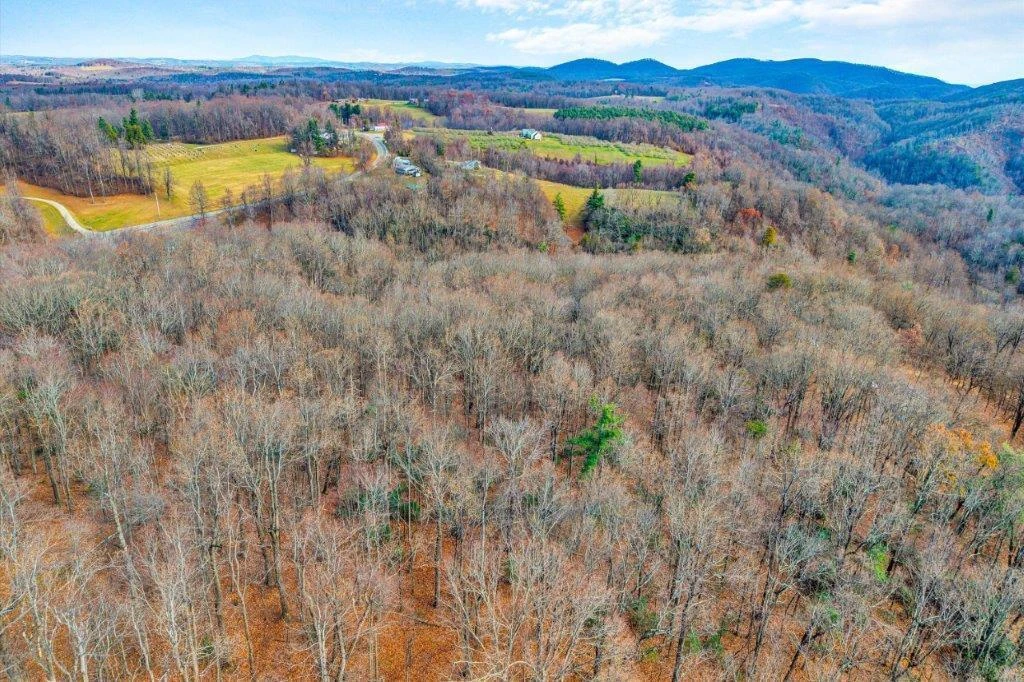 15885 Woolvine Hwy - Photo 3
