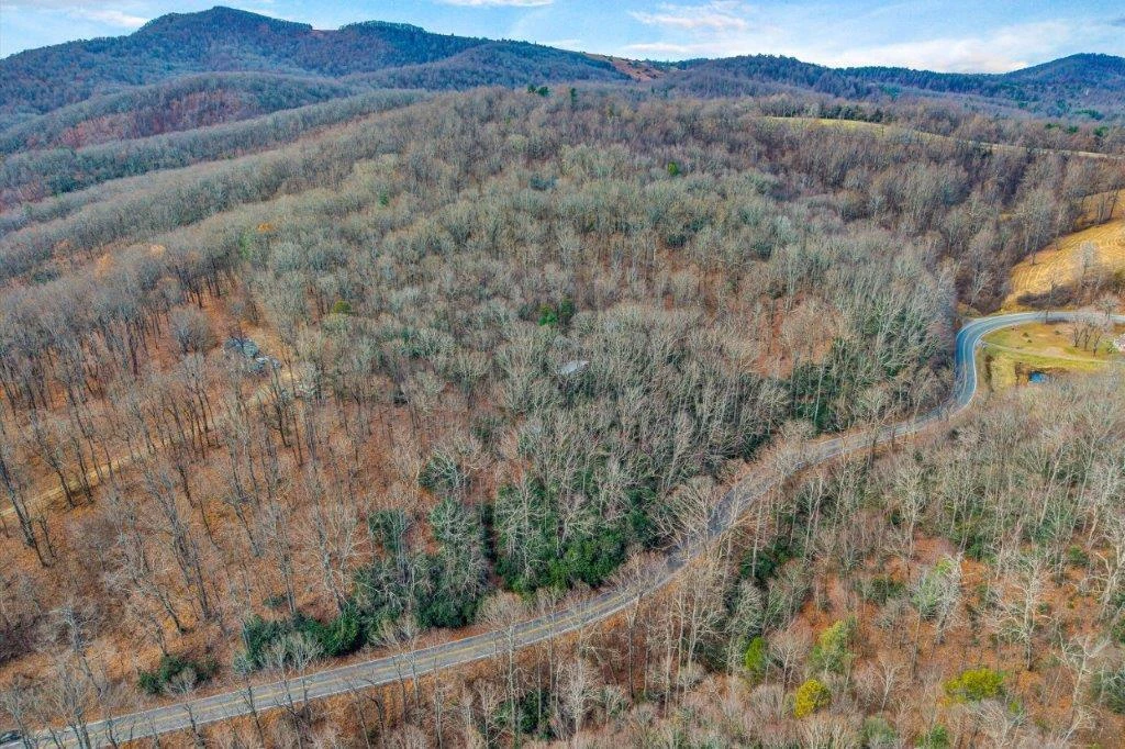 15885 Woolvine Hwy - Photo 4