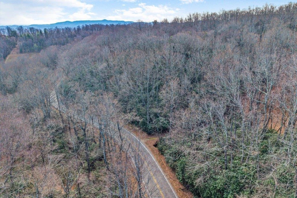 15885 Woolvine Hwy - Photo 6