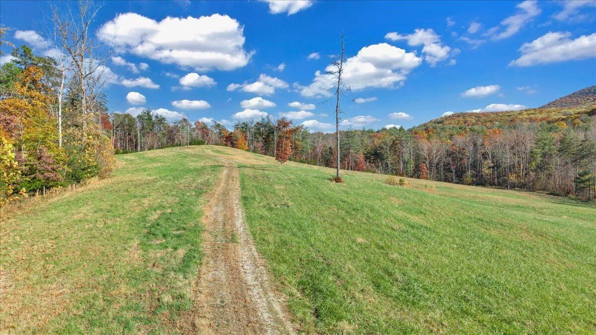6742 Dawnwood RD - Photo 11