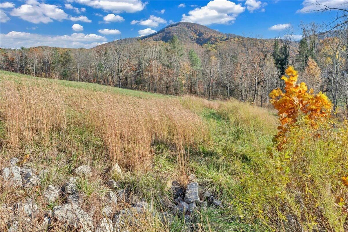 6742 Dawnwood RD - Photo 84