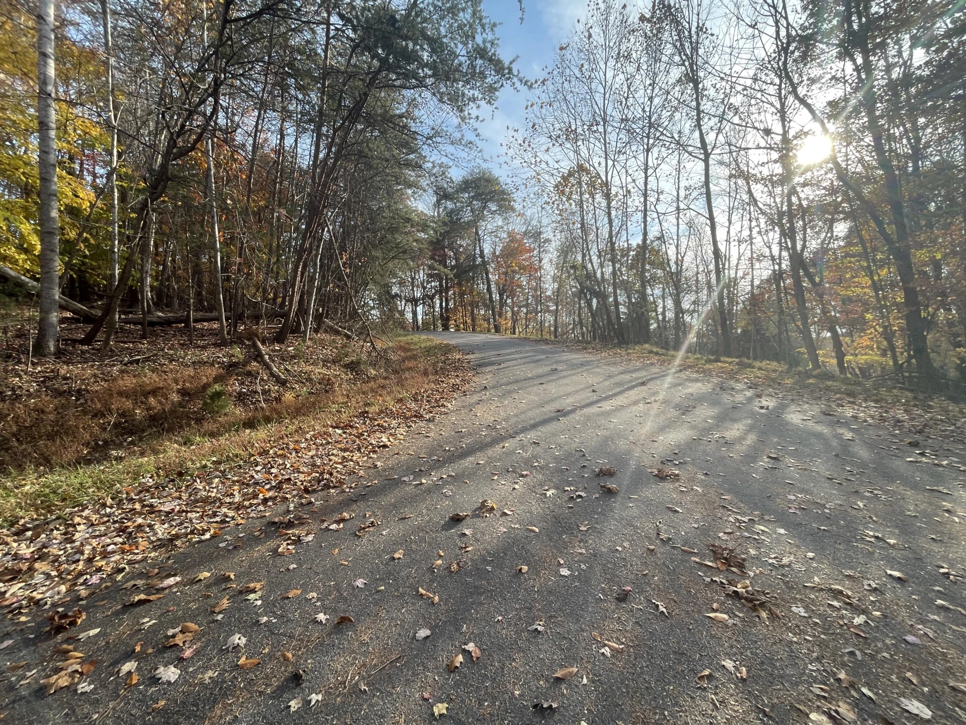 000 Stripers LN - Photo 11