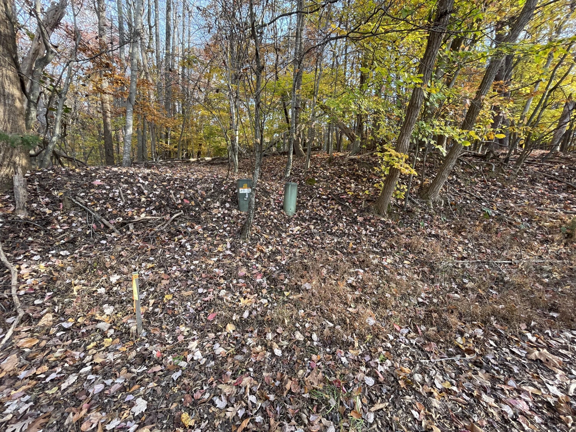 000 Stripers LN - Photo 4