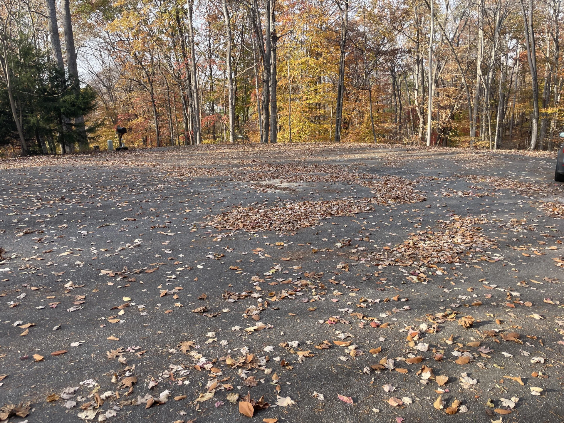 000 Stripers LN - Photo 6