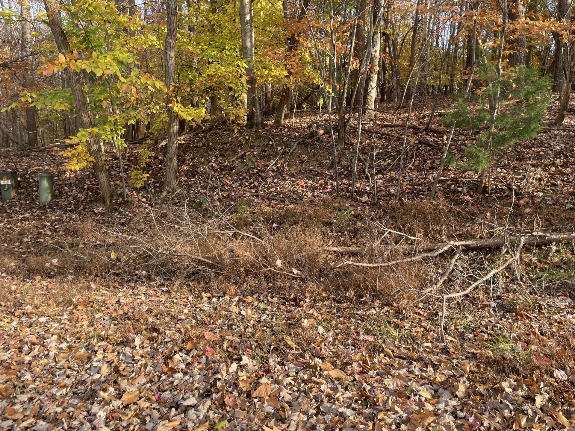 000 Stripers LN - Photo 8