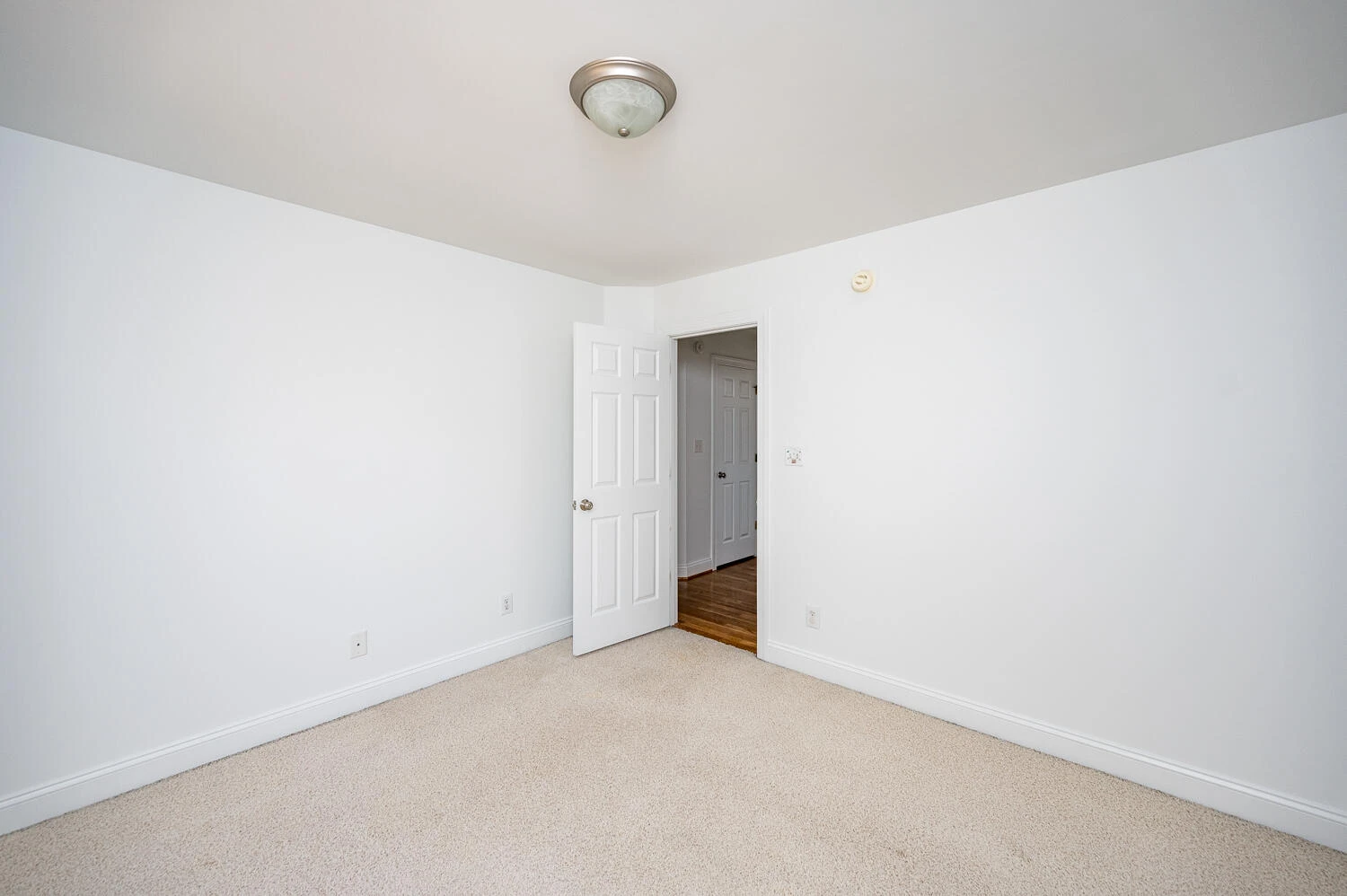 1096 Walkers Crossing DR - Photo 39