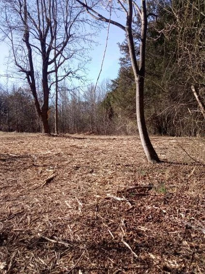 8100 Stage Coach RD - Photo 36