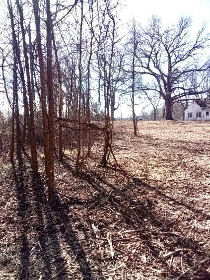 8100 Stage Coach RD - Photo 14