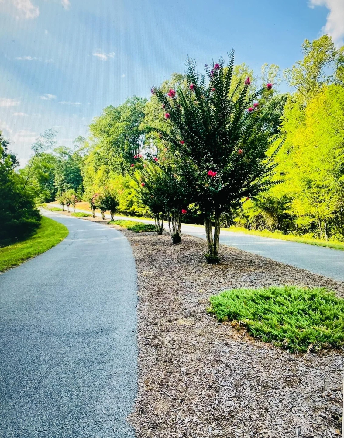 Lot 97 Greenberry DR - Photo 3