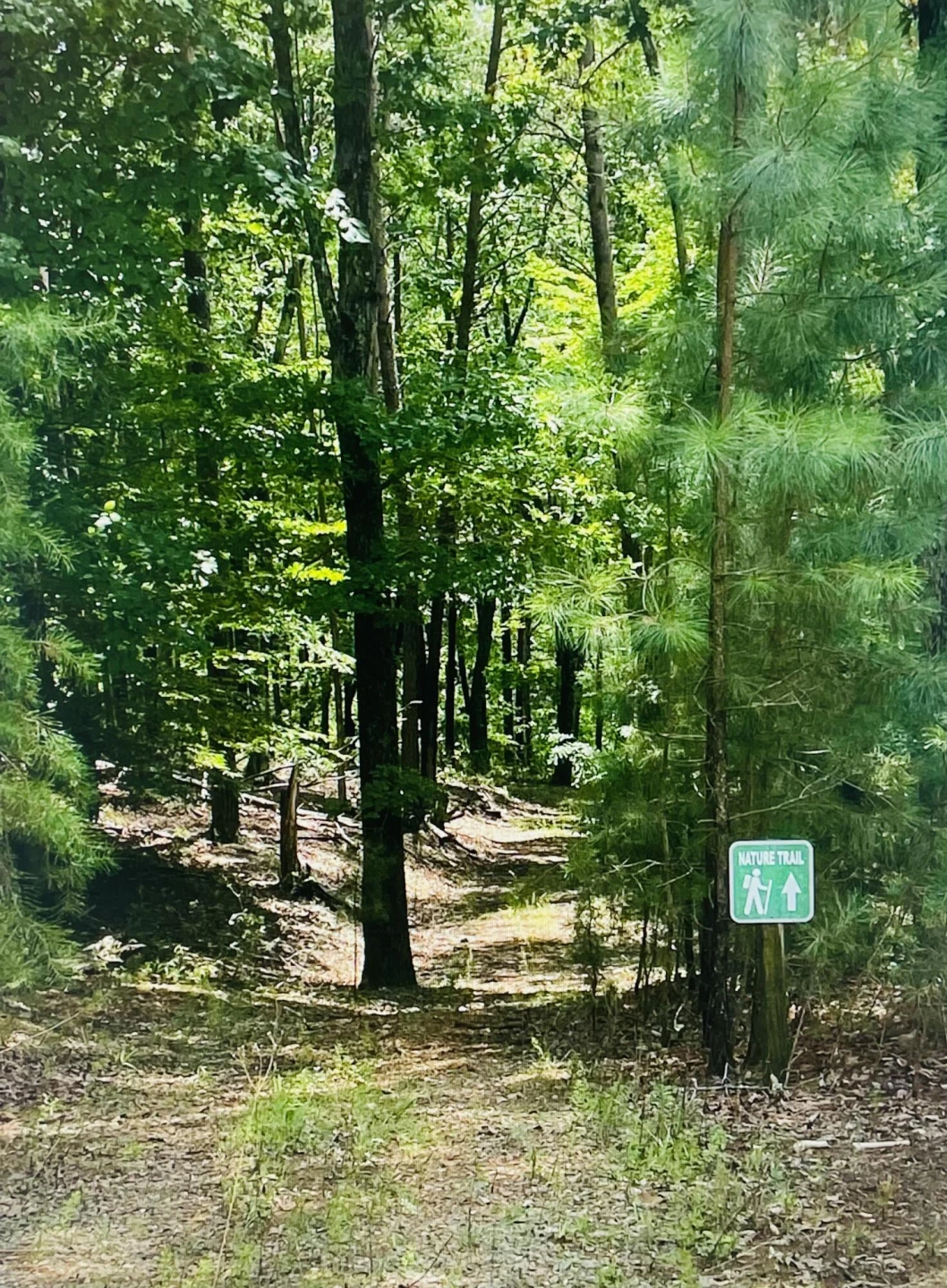 Lot 97 Greenberry DR - Photo 6