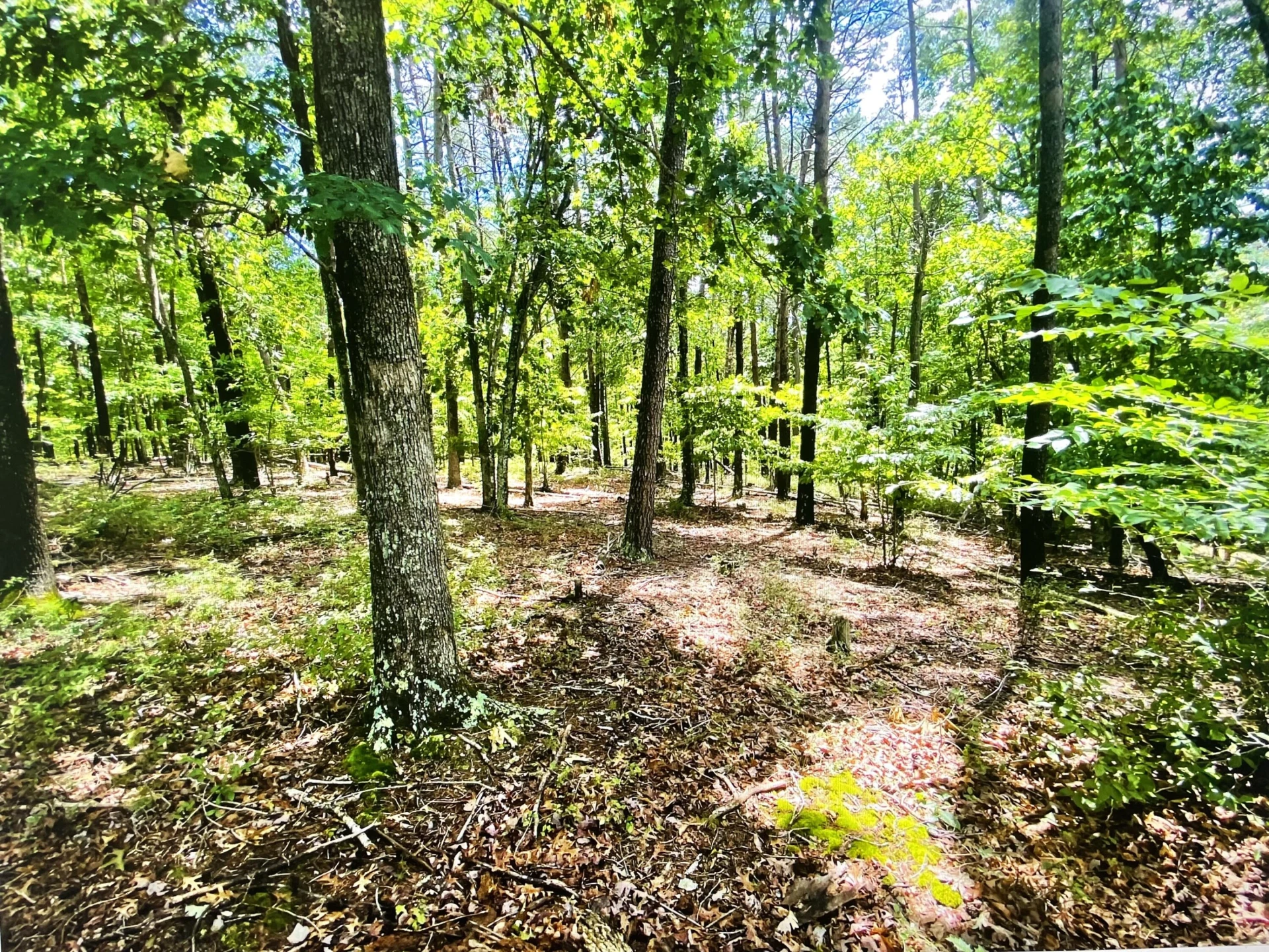Lot 97 Greenberry DR - Photo 9