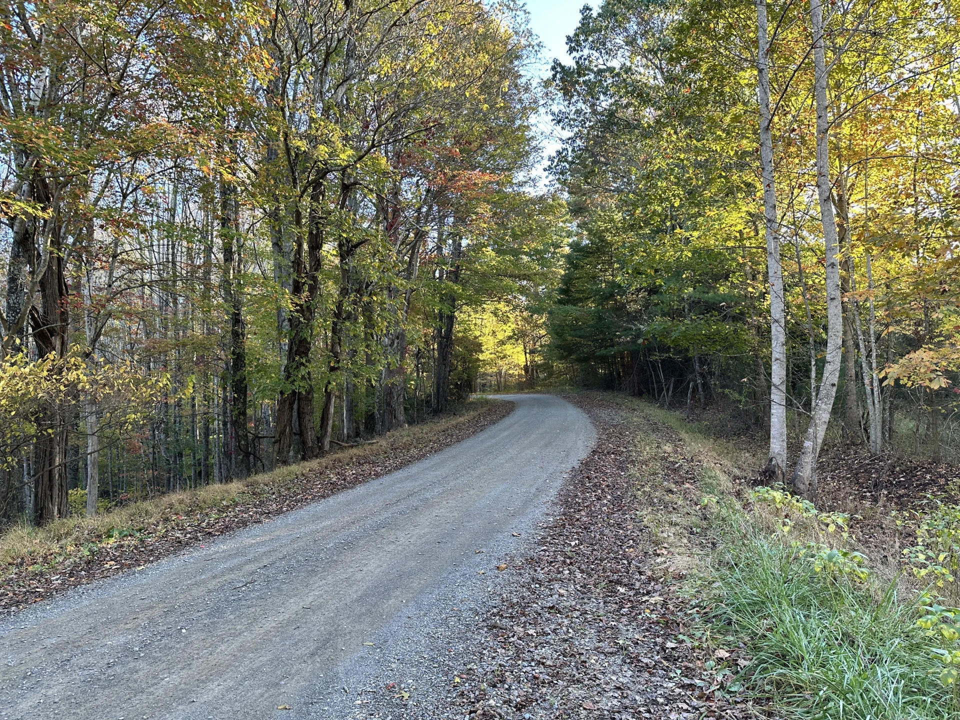 297 Reed Hill RD NW - Photo 16