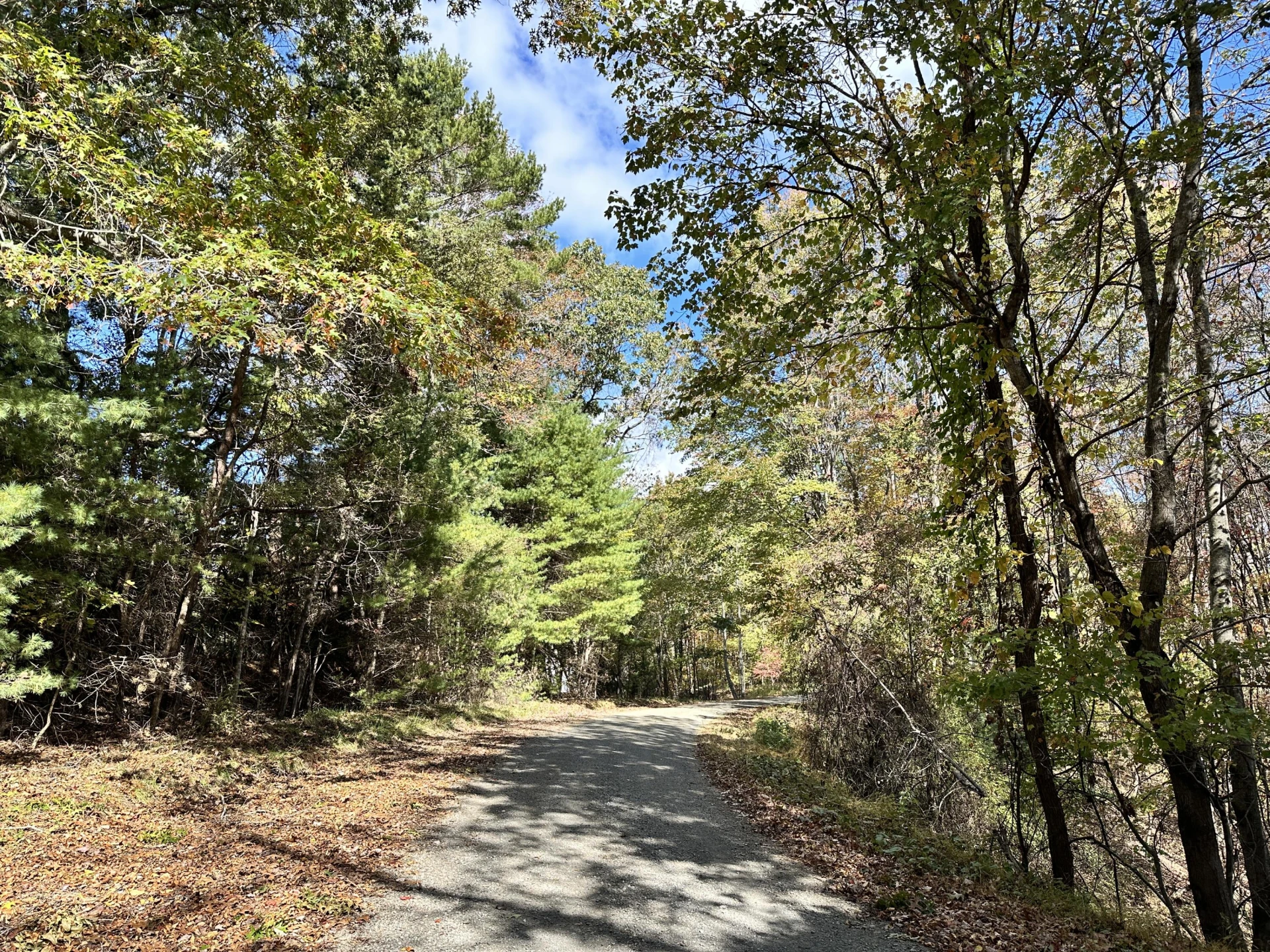 297 Reed Hill RD NW - Photo 3