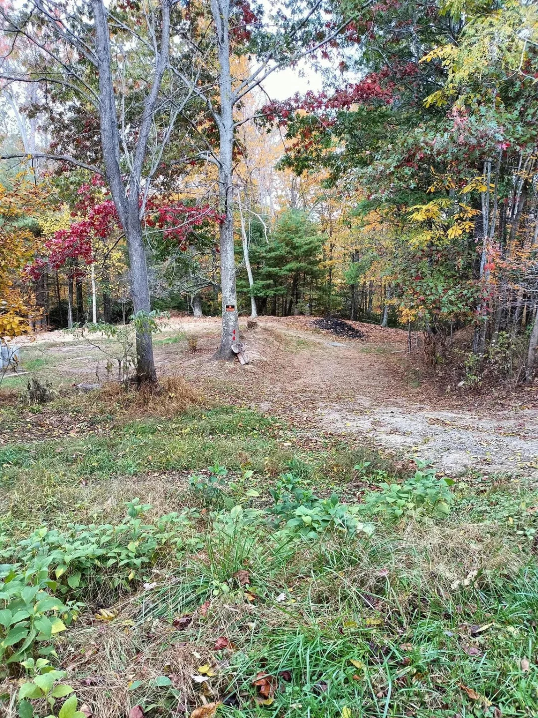 297 Reed Hill RD NW - Photo 8
