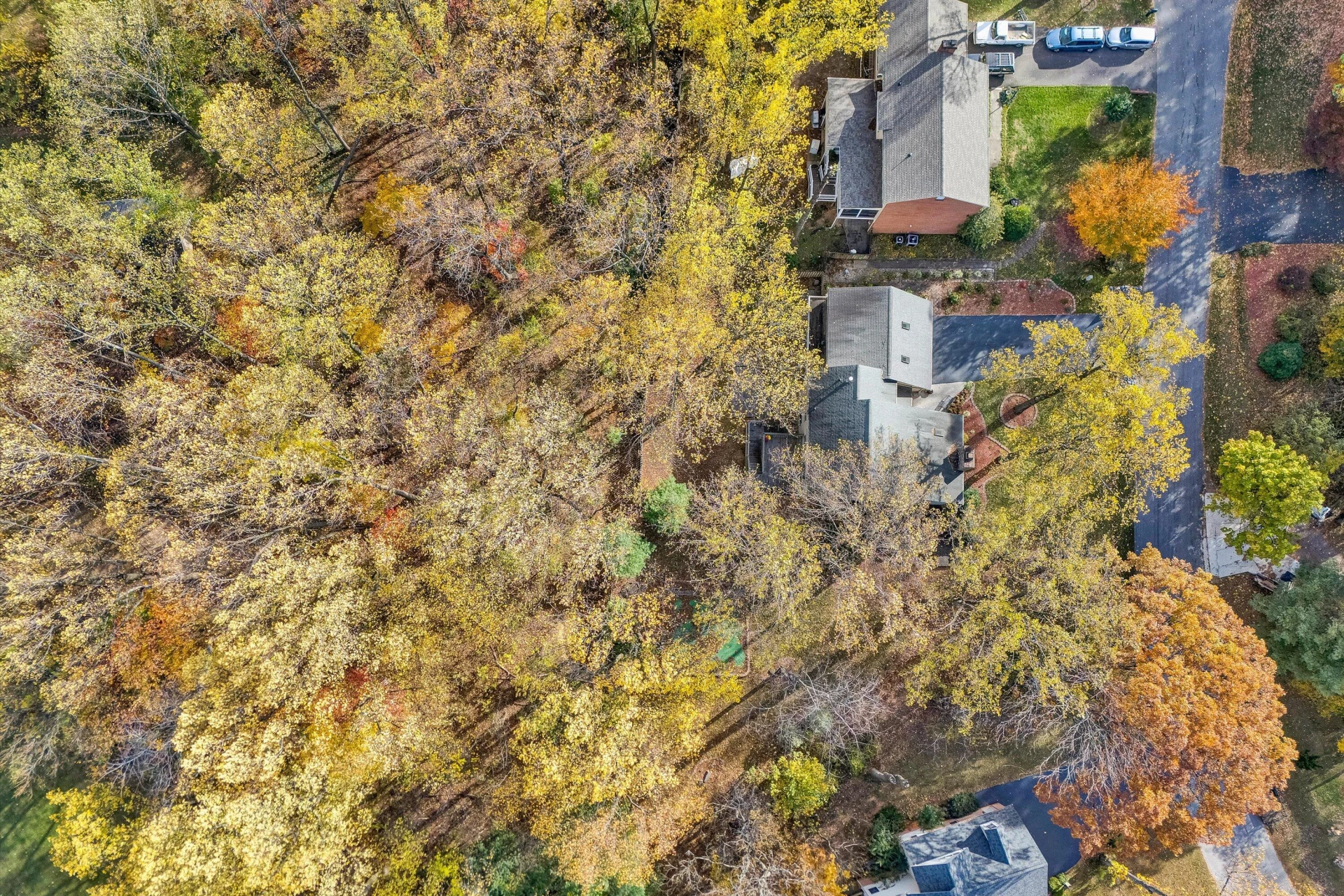 36 York ST - Photo 51