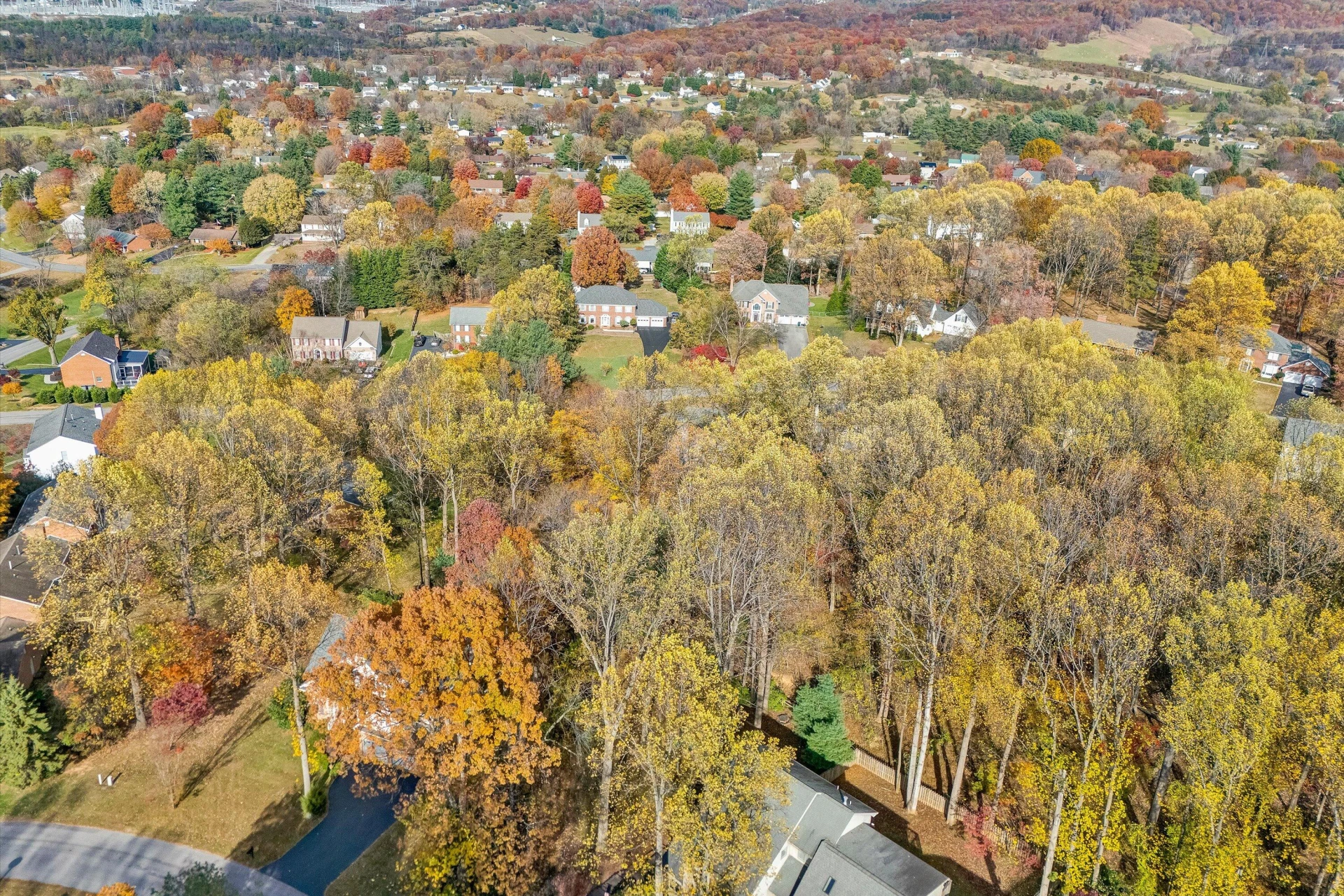 36 York ST - Photo 53