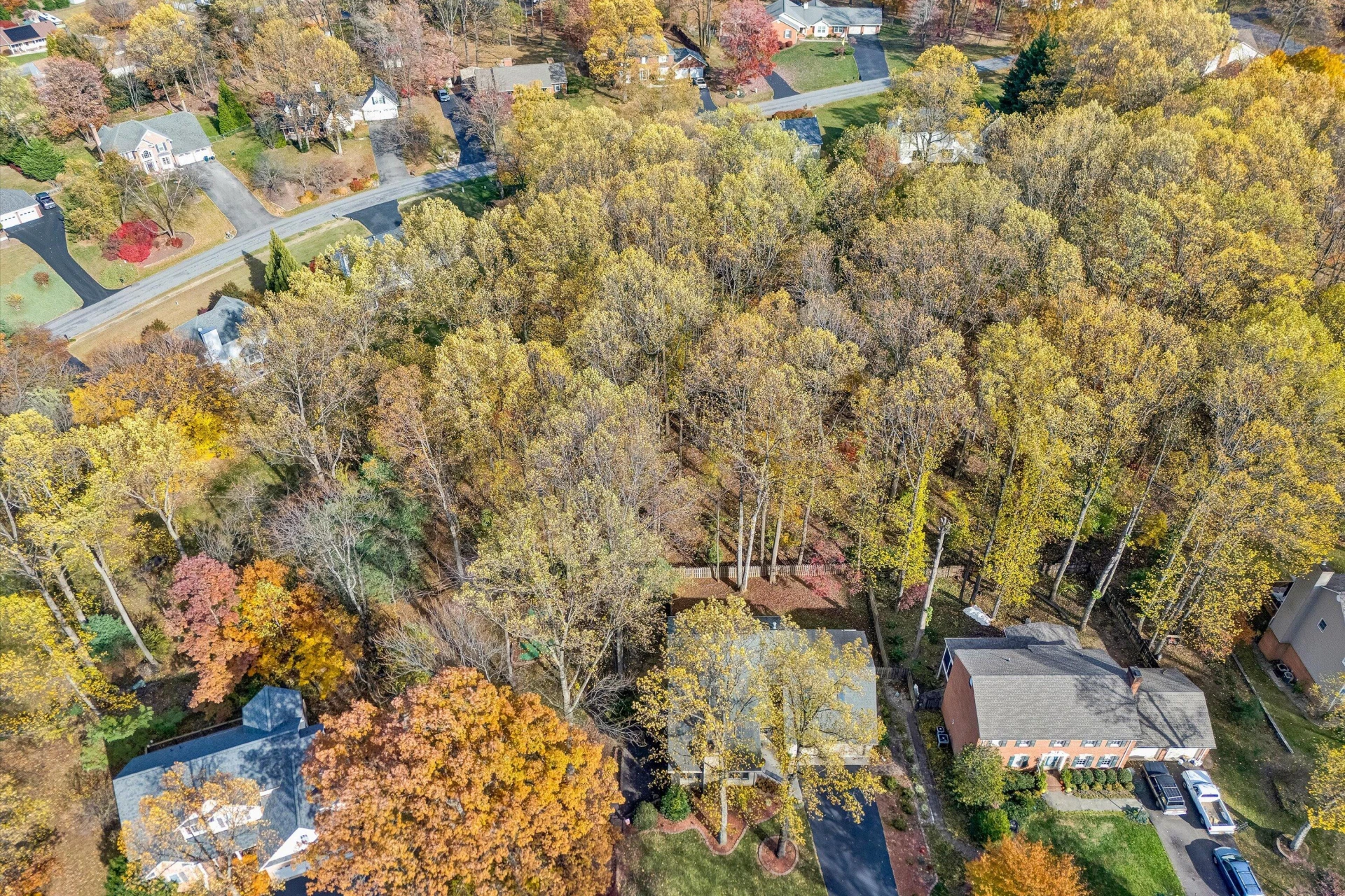 36 York ST - Photo 54