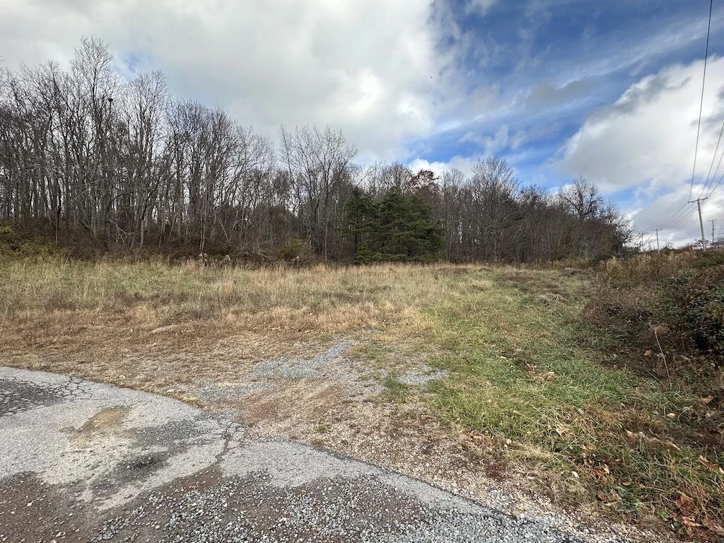 113 Verna LN - Photo 13