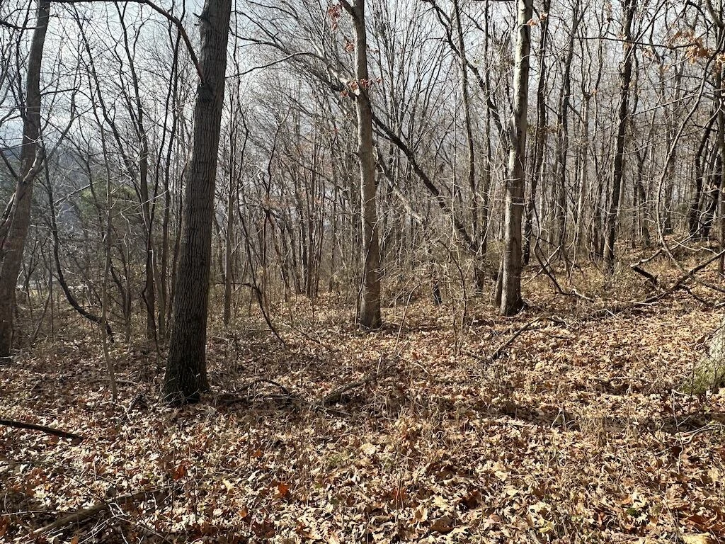 113 Verna LN - Photo 20