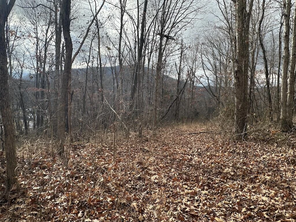 113 Verna LN - Photo 21