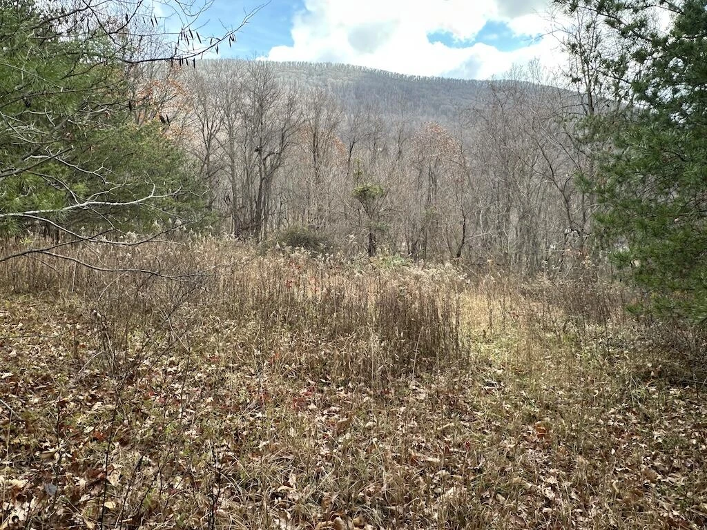 113 Verna LN - Photo 22