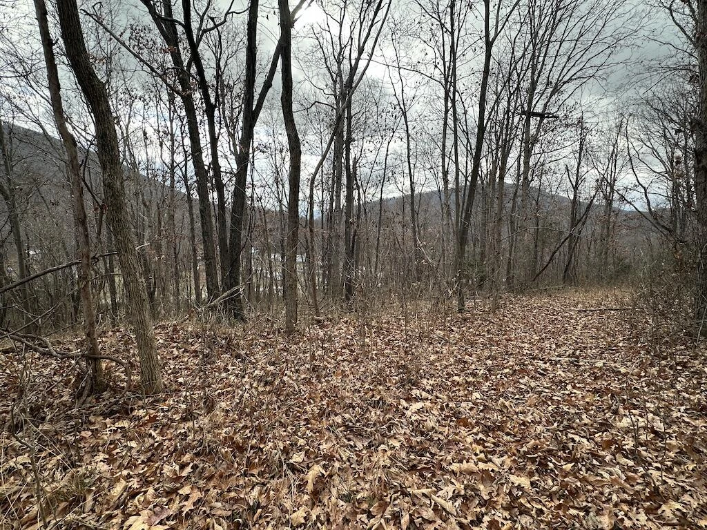 113 Verna LN - Photo 23
