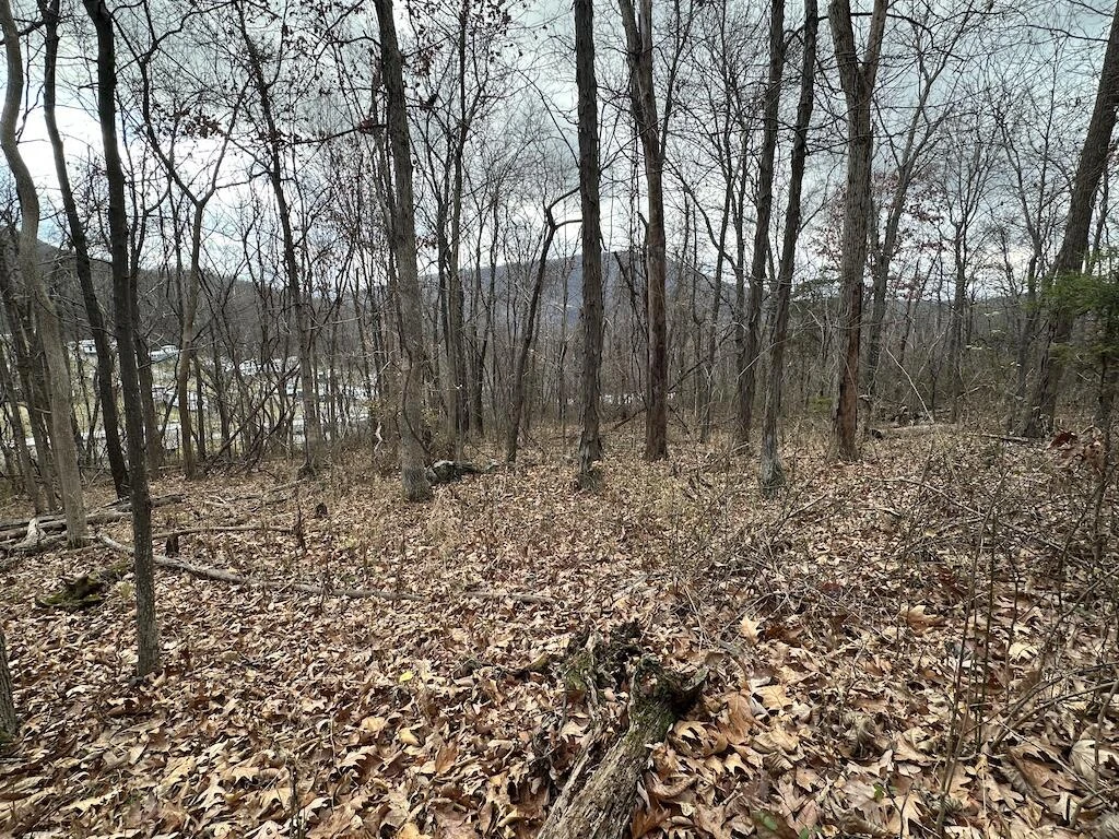 113 Verna LN - Photo 24
