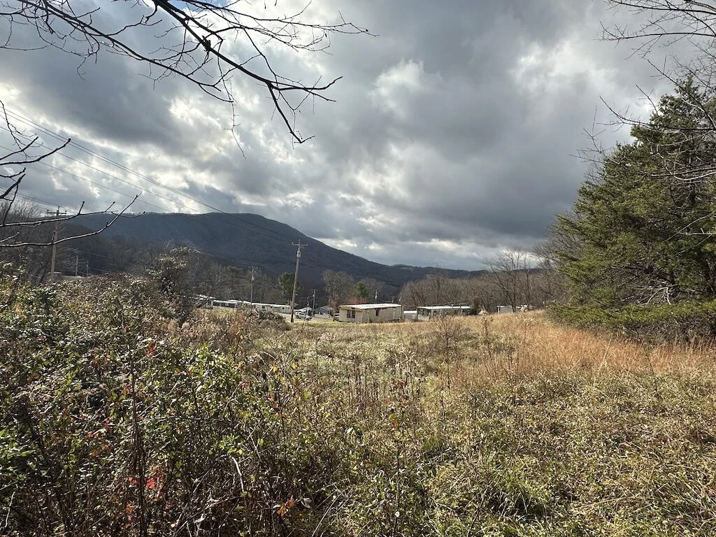 113 Verna LN - Photo 3