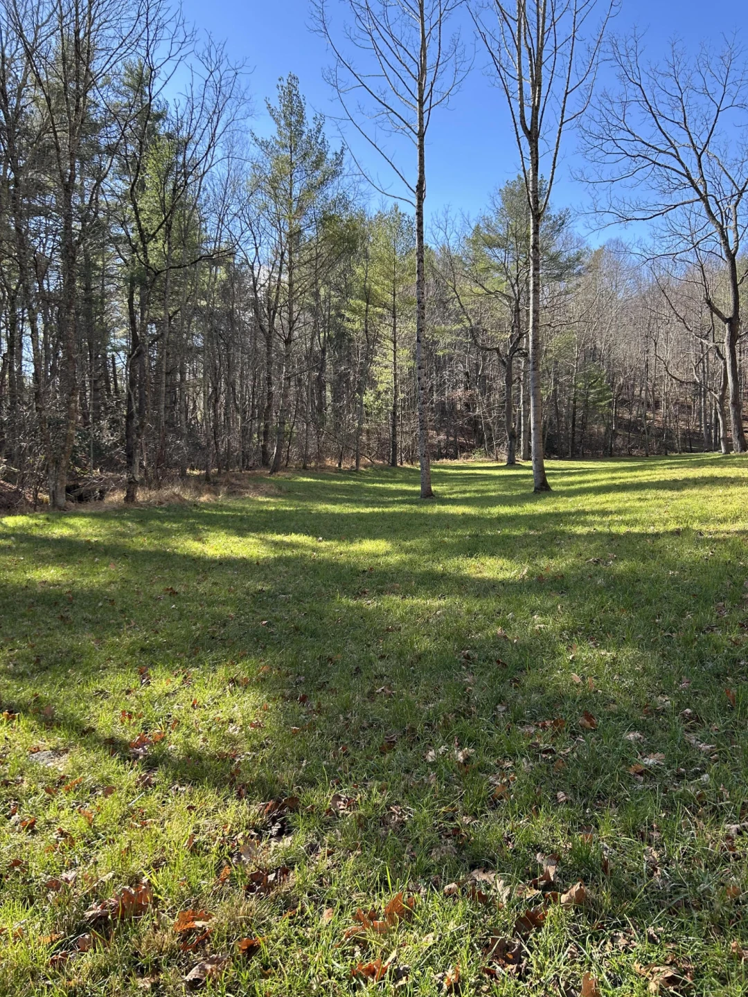 0 Bottom Creek RD - Photo 10