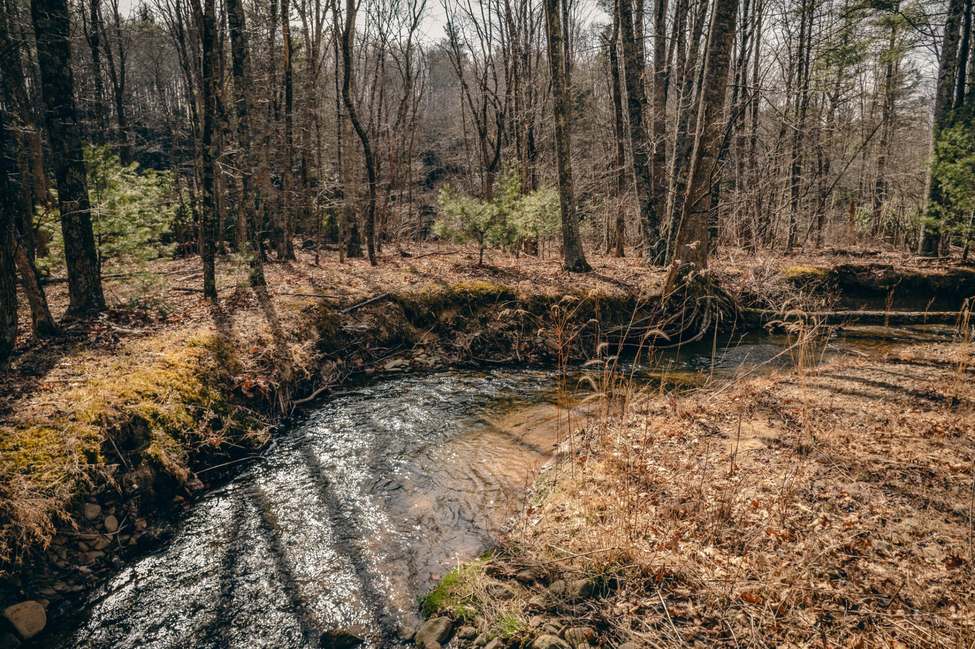 0 Bottom Creek RD - Photo 11