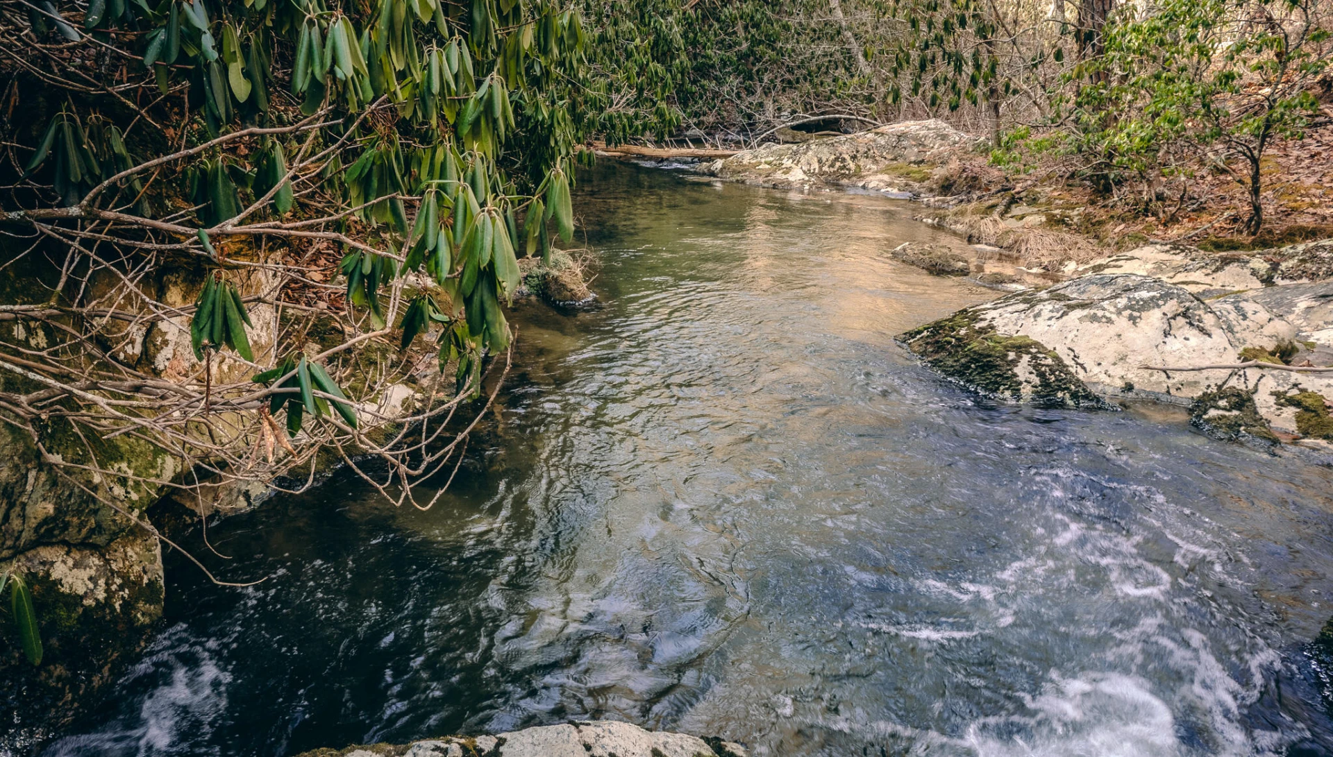 0 Bottom Creek RD - Photo 13